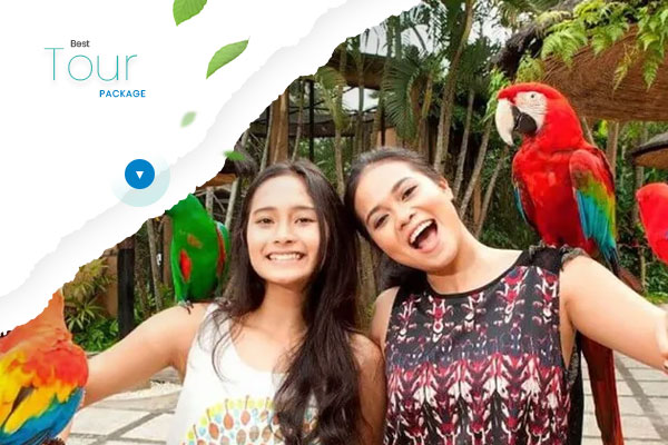 Bali-Bird-Park-&-Monkey-Forest-Tour