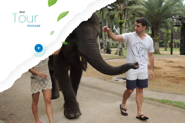 Bali-Zoo,-Elephant,-&-Temple-Ubud-Area